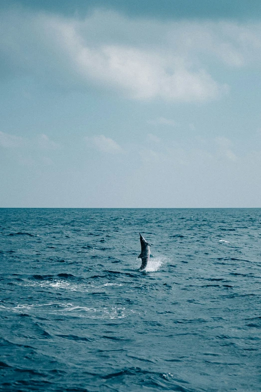 a person in the water para - sailing on a sunny day