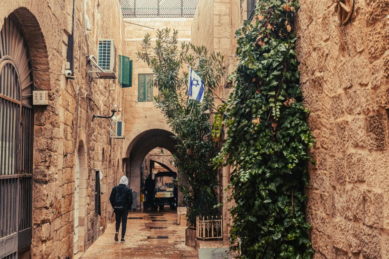 a cobble stone walkway in the town