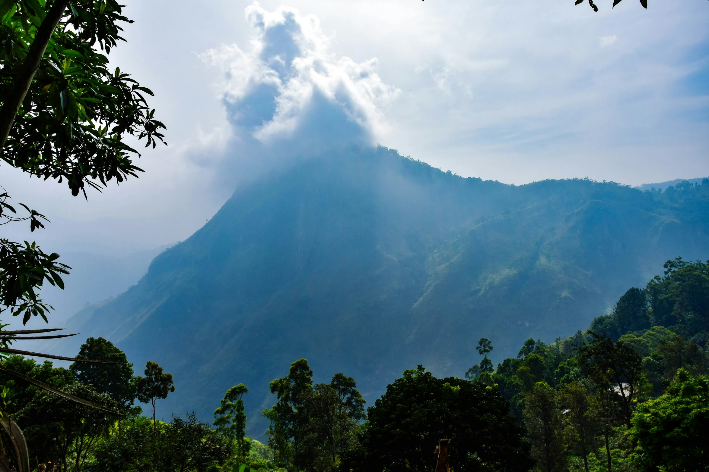 a mountain is shown covered with clouds and some trees