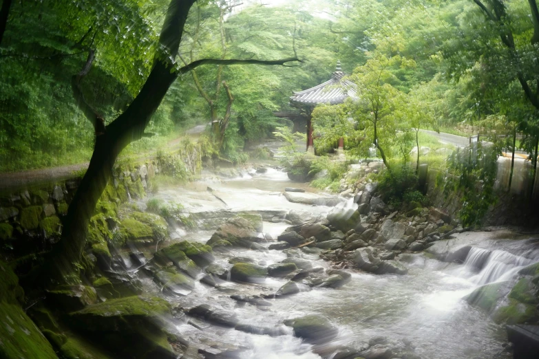 a very pretty stream with water flowing