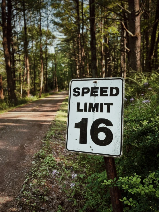 a speed limit sign on a post by a forest trail