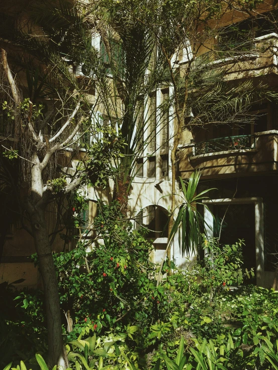 the building in the jungle is made of concrete