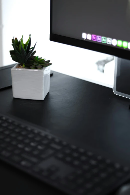 the computer screen has a small plant in it