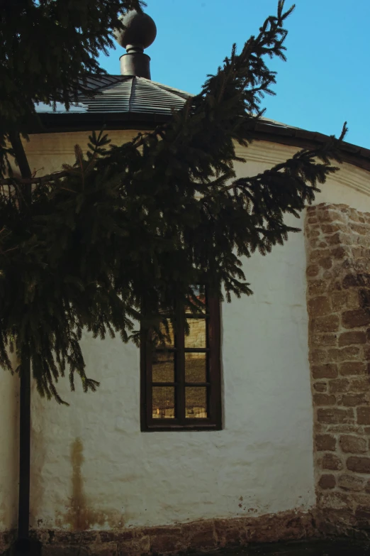 an unusual looking window under a tree by a wall