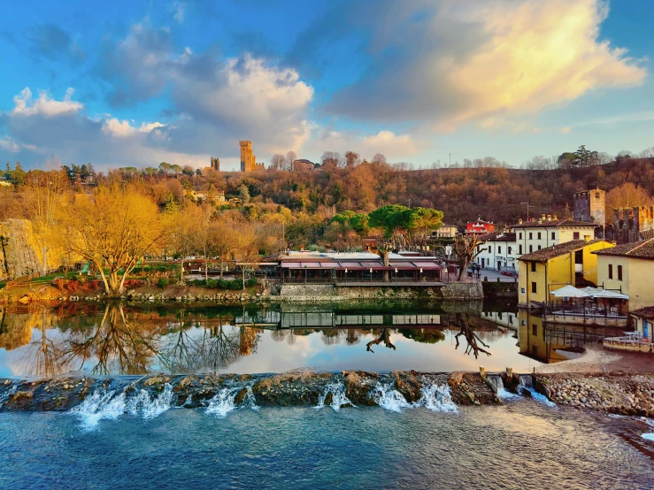 colorful trees are growing next to the water