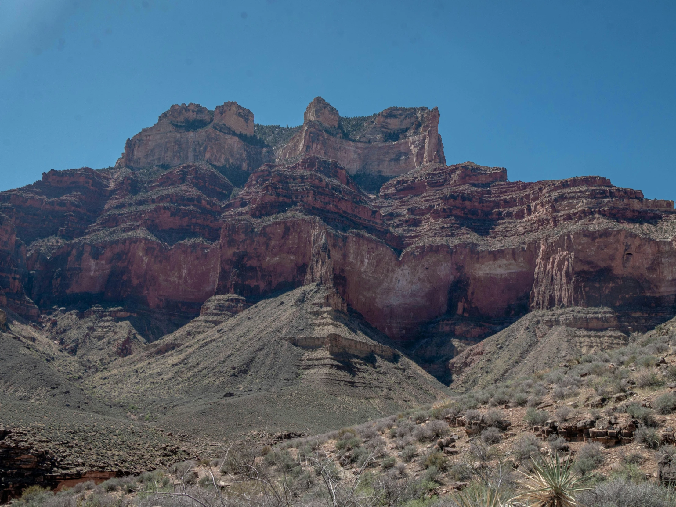 some mountains covered in grass and bushes