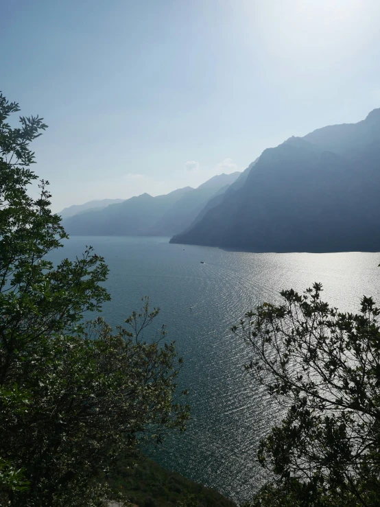 the trees next to the water are shaded by the sun