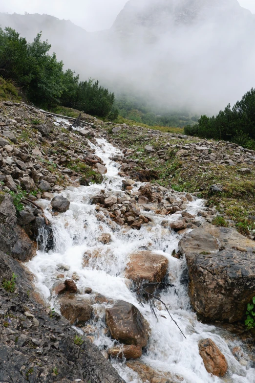 a mountain stream surrounded by rocks, shrubbery and low lying vegetation