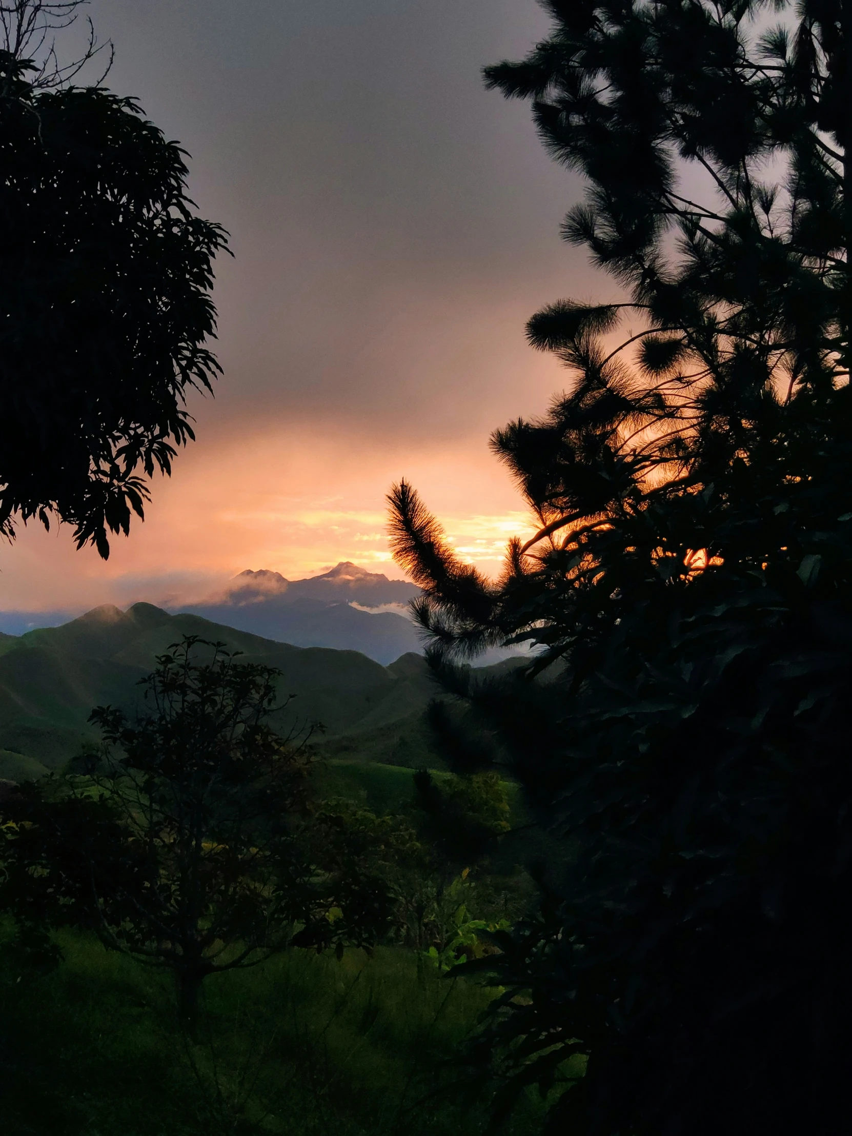 sunset, over a forest of trees and hills