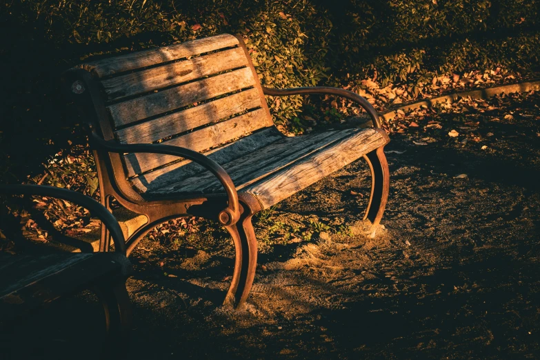 a park bench with the sun reflecting off the leaves