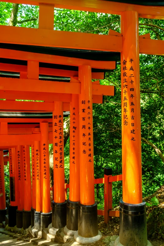 there are many orange pillars with writing on them