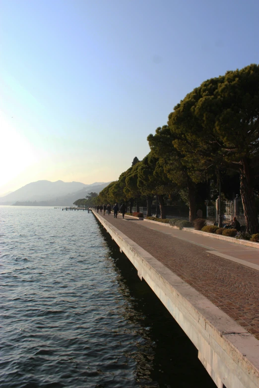 a body of water with trees and some houses