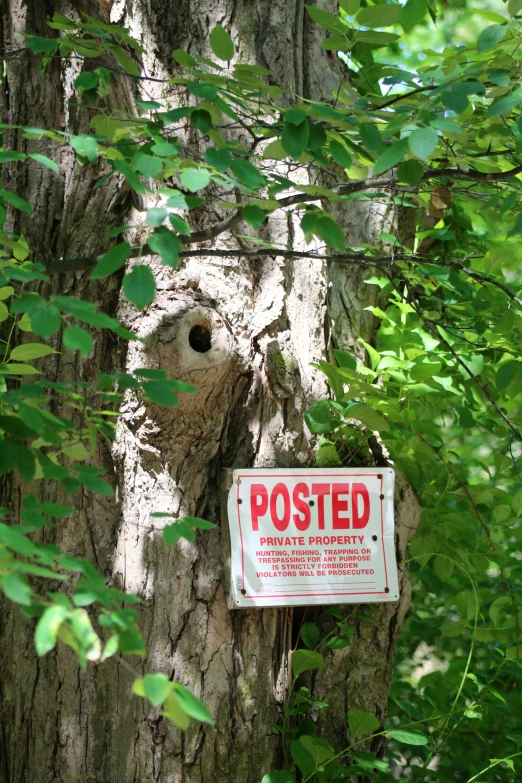 a tree trunk with a sign posted on it