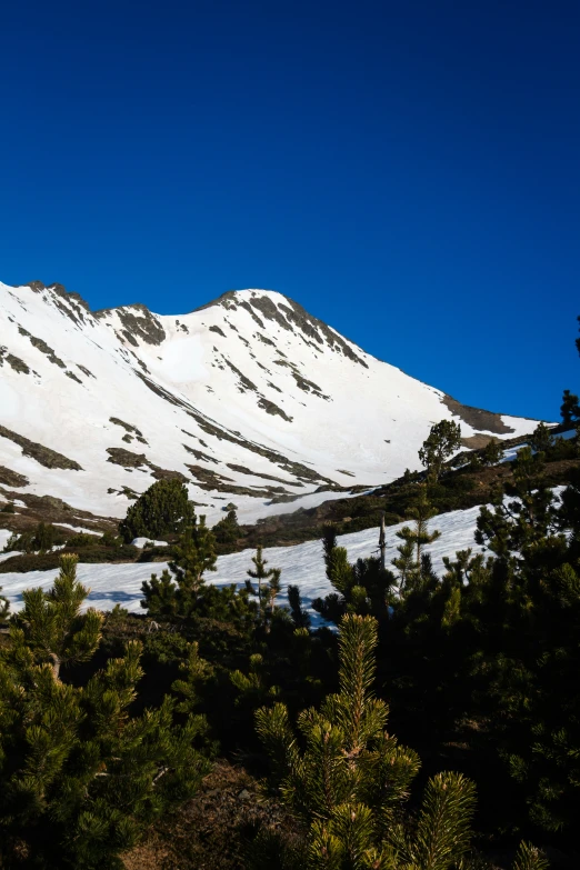 the white snowy mountains are all covered with snow