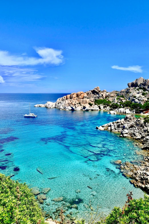 a body of water with trees and some rocks