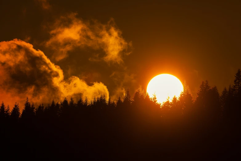 the sun rises in front of a grove of trees