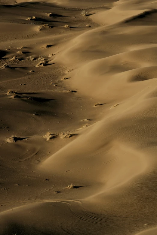 sand dunes with footprints in them moving along