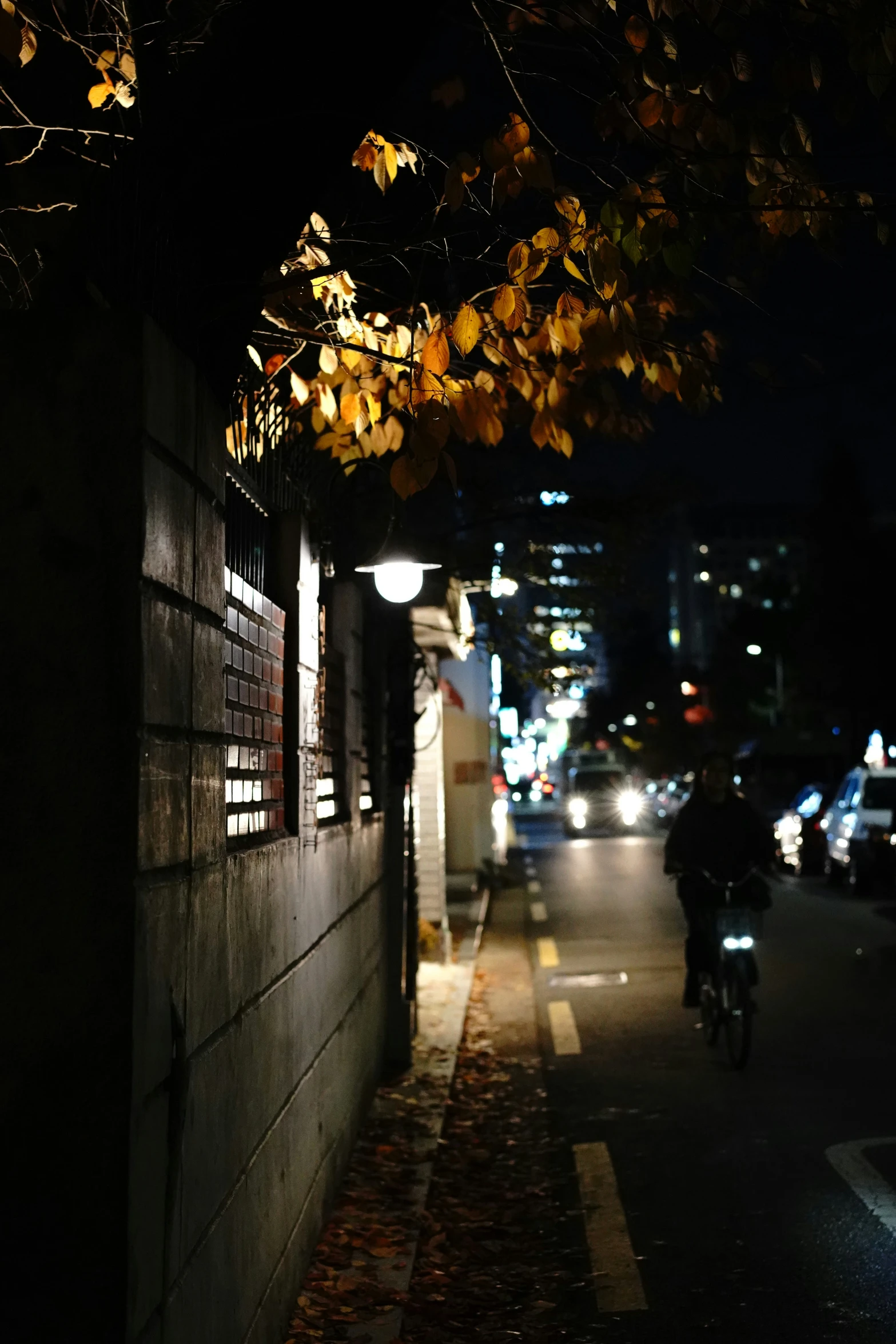 a nighttime scene of a person riding their bike down the sidewalk