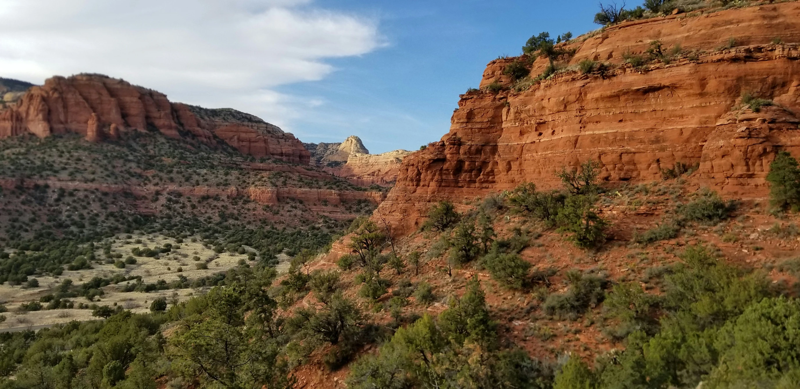 a scenic view from a moving vehicle looking down the canyon