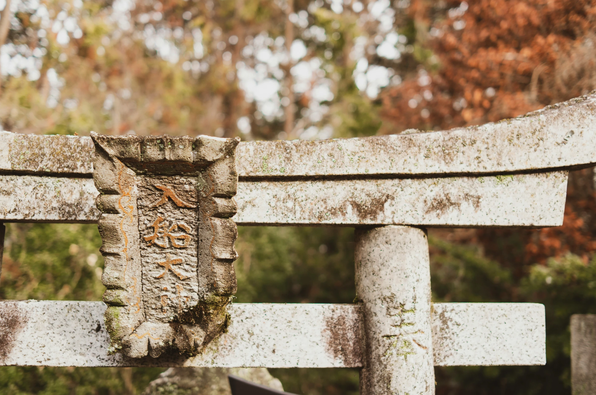 a stone bench with a piece of moss on it's back