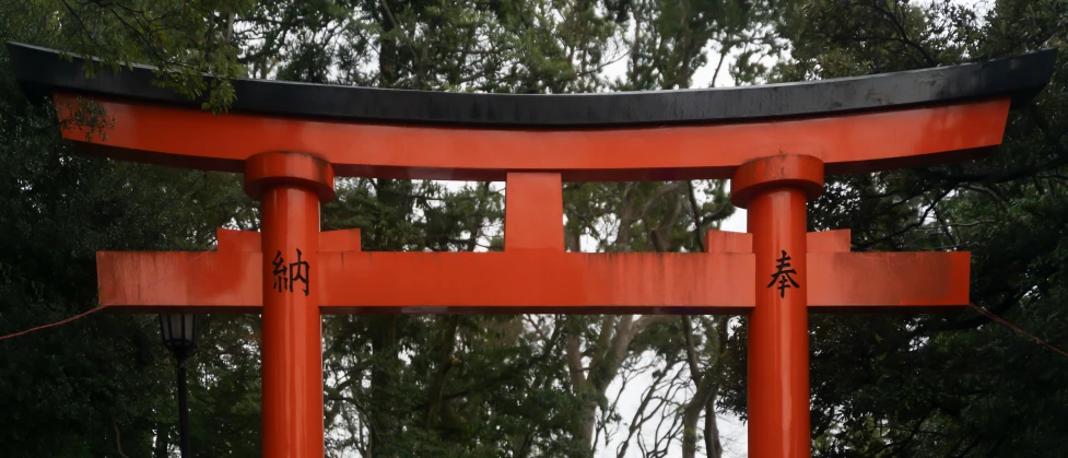 a close up of an orange tori tori tori with trees in the background