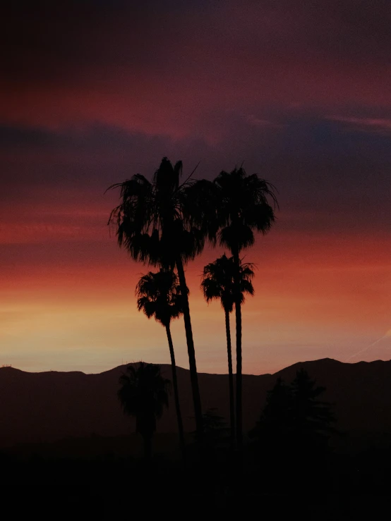 a sunset po with two palm trees and mountains in the distance