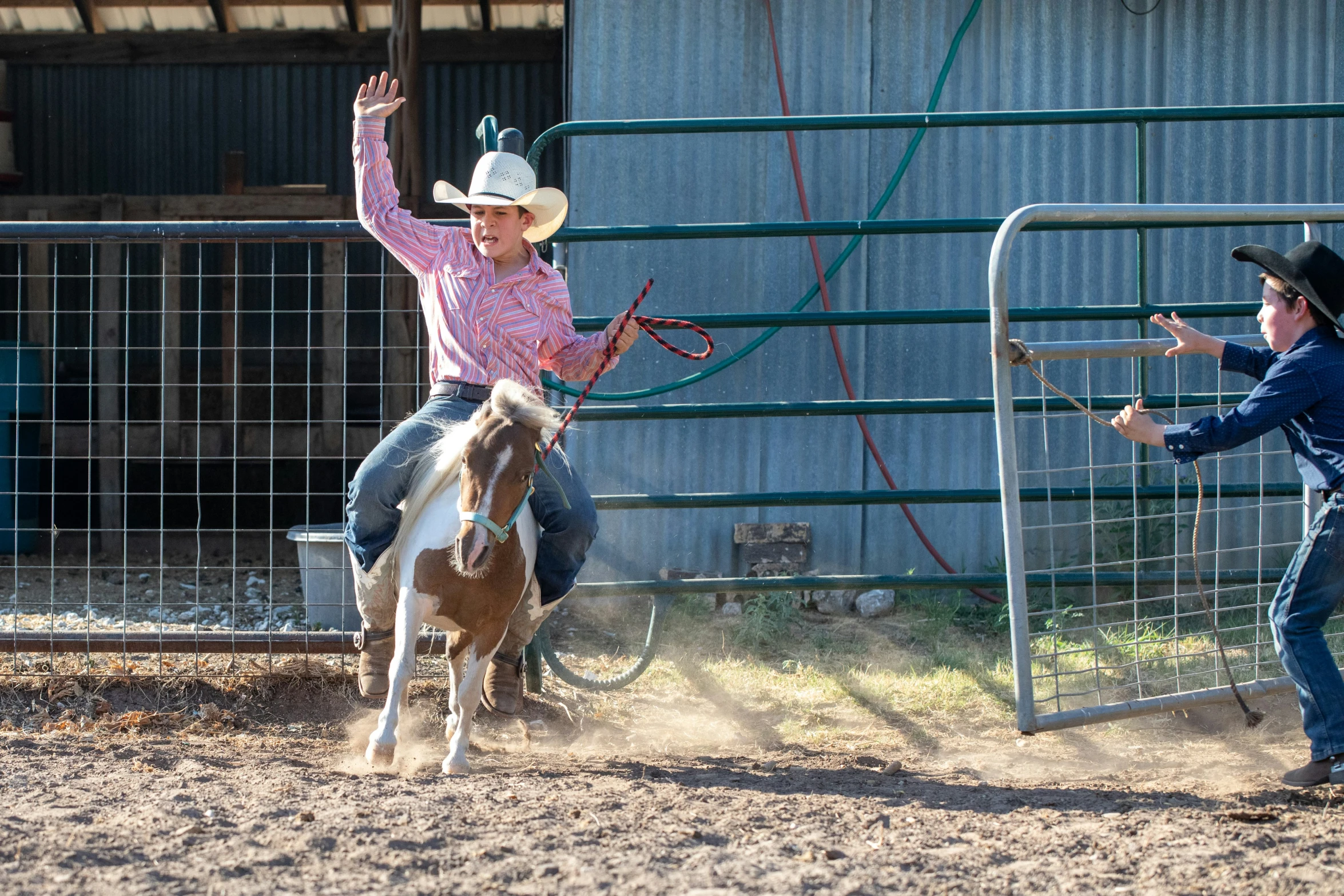 there is a woman on the back of a horse throwing a lasso