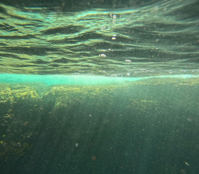 an underwater view from below the water