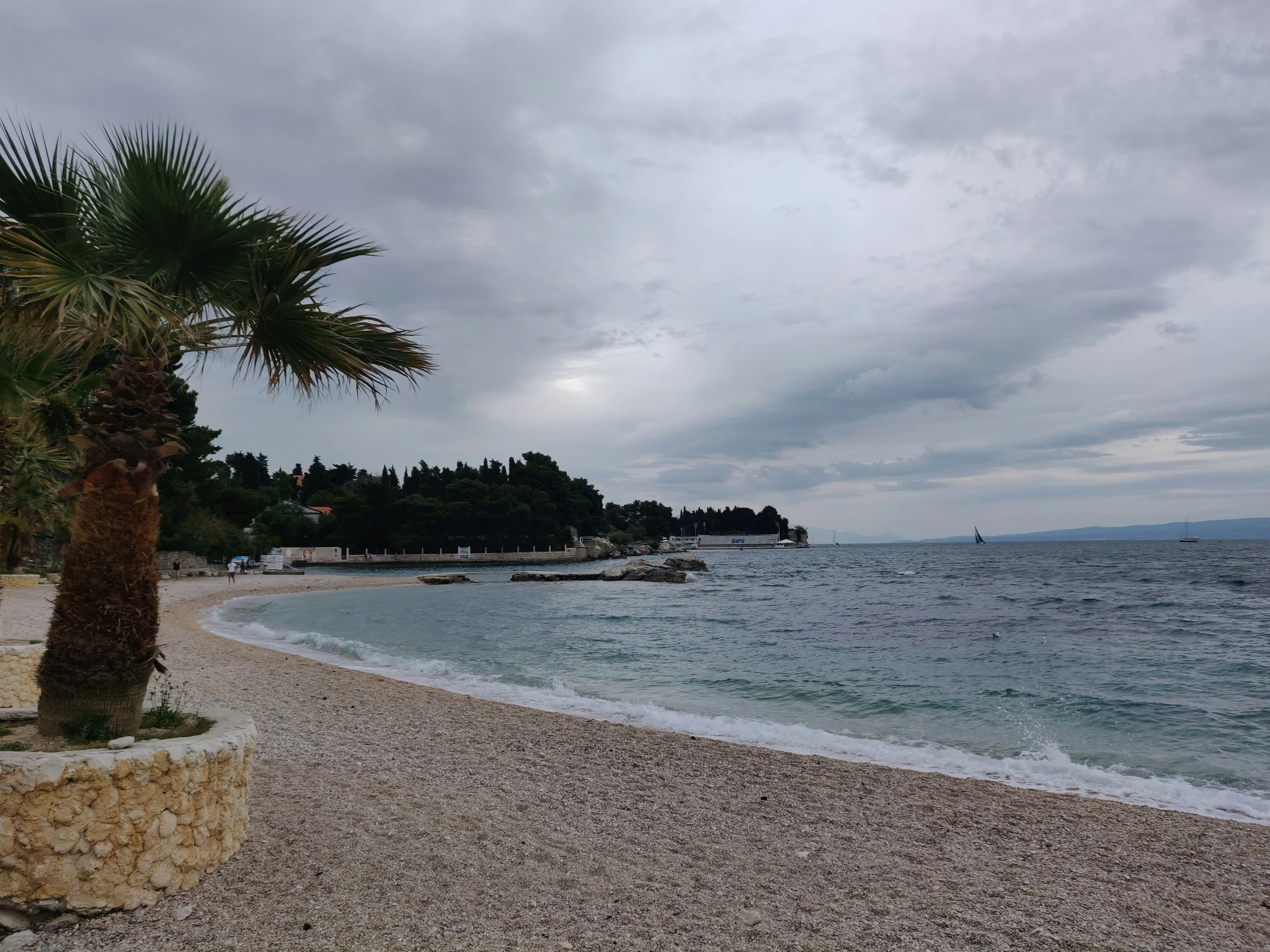 a palm tree on the beach on a gloomy day