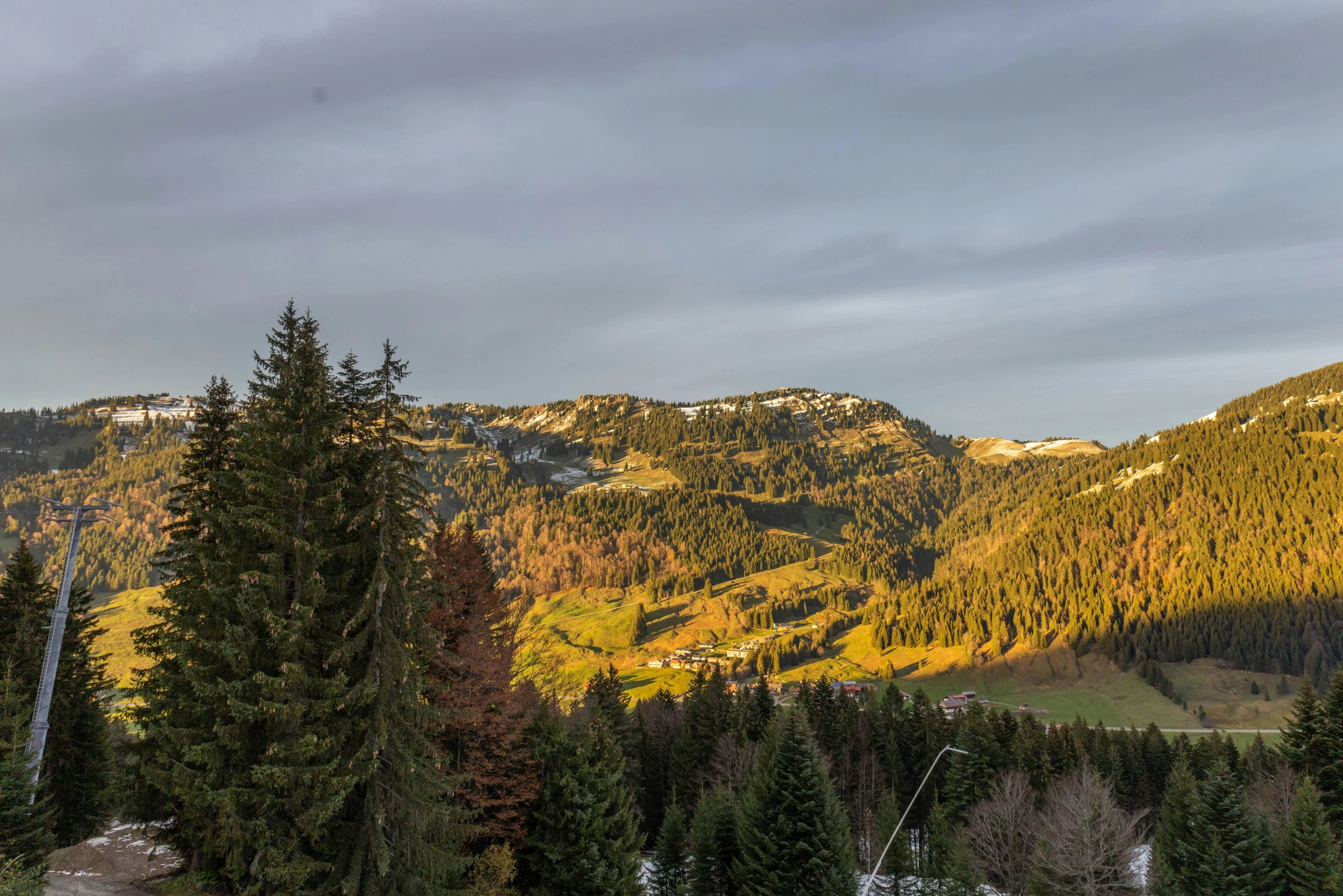 a group of mountain top with many trees in the foreground