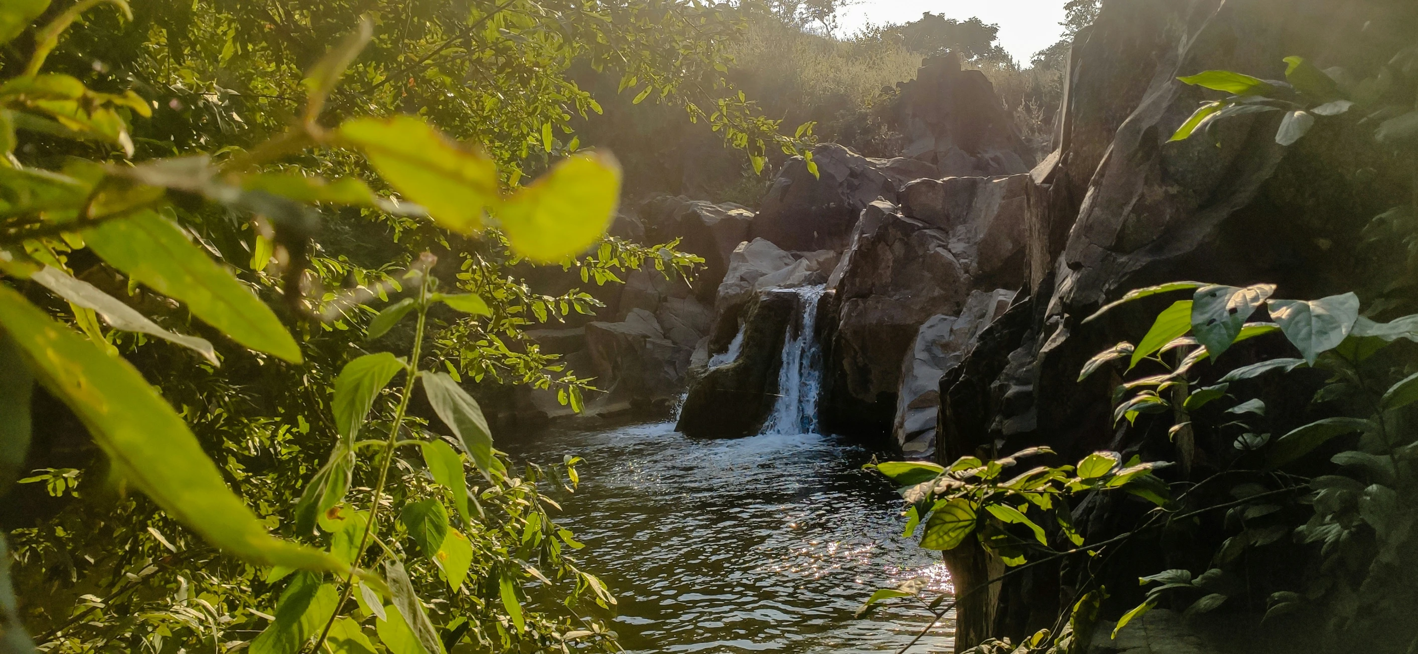 a large waterfall is shown through the trees