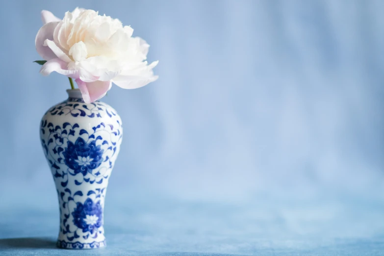 a white and blue vase with a white flower in it