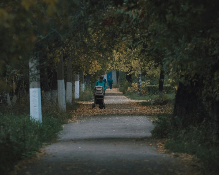 a view from the end of a trail looking at a path with trees and bushes, one car is parked behind it