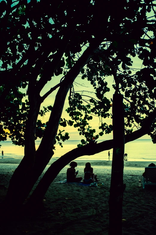 a sunset on the beach as people sit underneath the shade of some trees