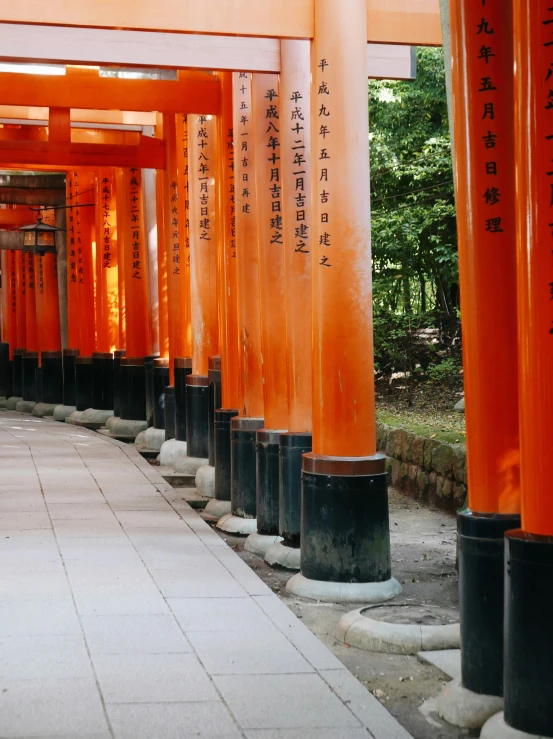 large orange columns line a walkway next to trees