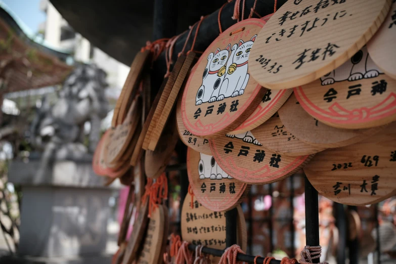 several wooden signs with a cat on them