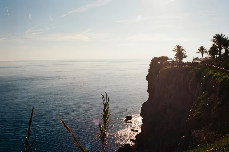 cliff overlooking water with palm trees on the edge