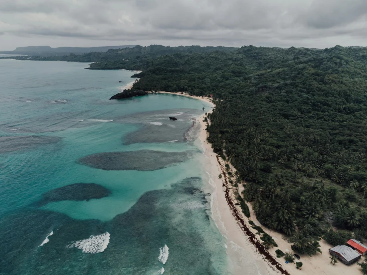 an aerial view of some water and trees