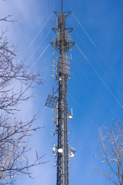 telephone towers with power lines and birds on them