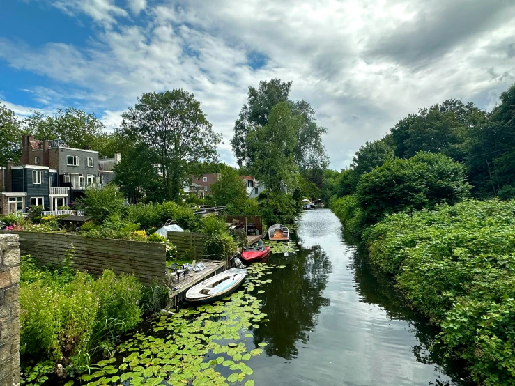 a waterway filled with lots of green plants