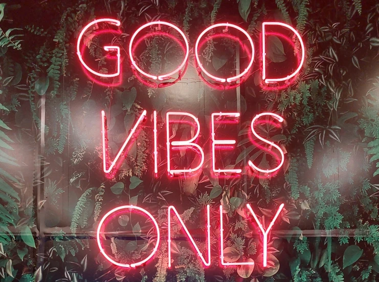 there is a neon sign that says good vibes only