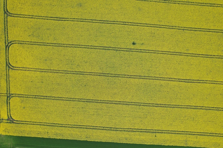 an aerial po of a green field from above