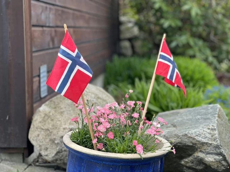 two flags sticking out of a flower pot