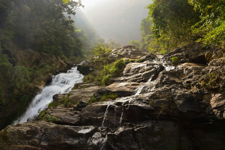 a creek near some trees and water with light