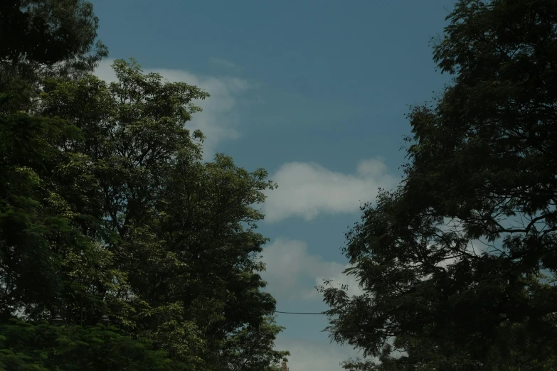 an airplane flying by in the distance as it approaches a small patch of land with trees and a few cars on it