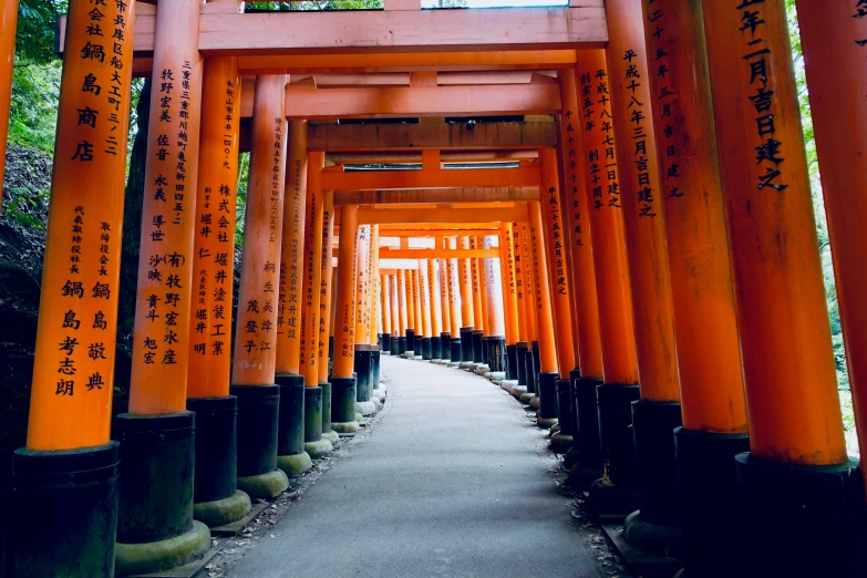 a couple of rows of orange wooden gates