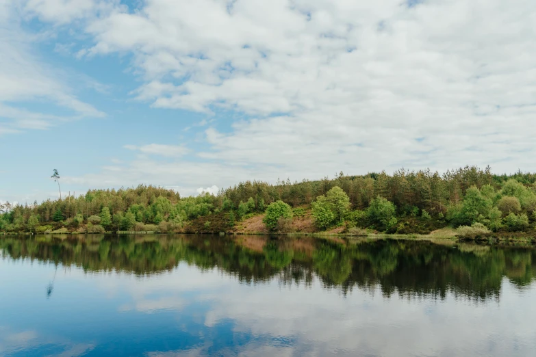 trees and clouds reflecting in water next to grassy area