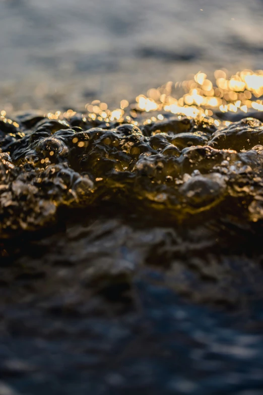 an image of water that is being reflected in it