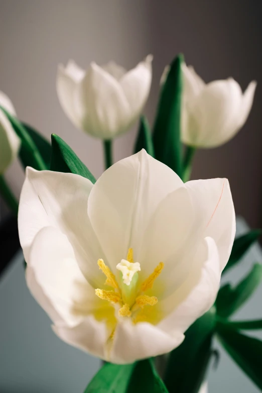 a small glass vase filled with white flowers