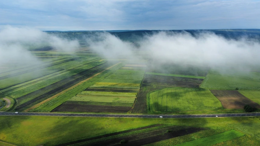 a foggy landscape shows a grassy area, a train, and fields
